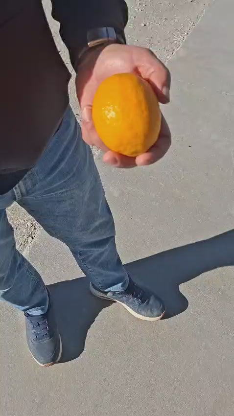 Įkelkite vaizdo įrašą: 